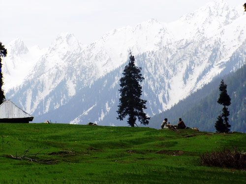 Kashmir