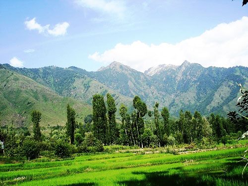 dachigam_01