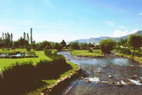 kokernag_01