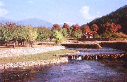 kokernag_02